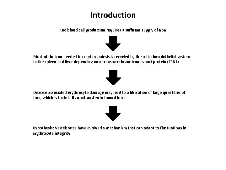 Introduction Red blood cell production requires a sufficent supply of iron Most of the