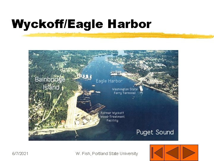 Wyckoff/Eagle Harbor 6/7/2021 W. Fish, Portland State University 