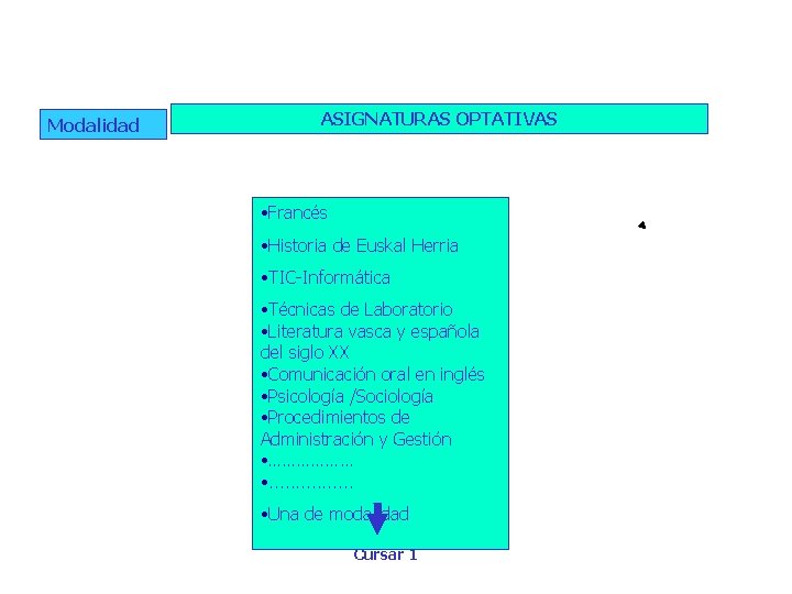 Modalidad ASIGNATURAS OPTATIVAS • Francés • Historia de Euskal Herria • TIC-Informática • Técnicas