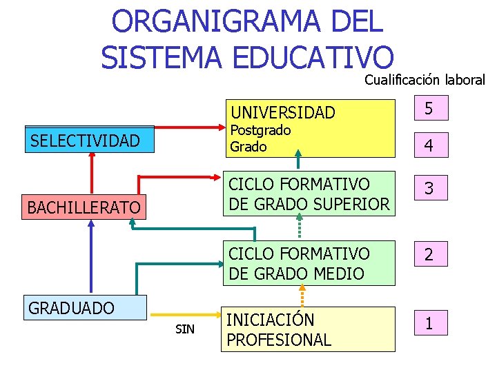 ORGANIGRAMA DEL SISTEMA EDUCATIVO Cualificación laboral UNIVERSIDAD 5 SELECTIVIDAD Postgrado Grado 4 BACHILLERATO CICLO