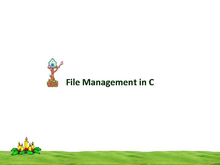 File Management in C 