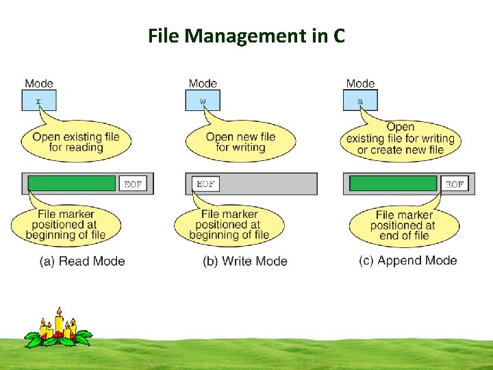 File Management in C 