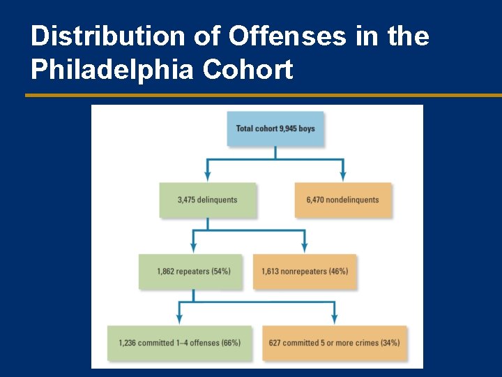 Distribution of Offenses in the Philadelphia Cohort 