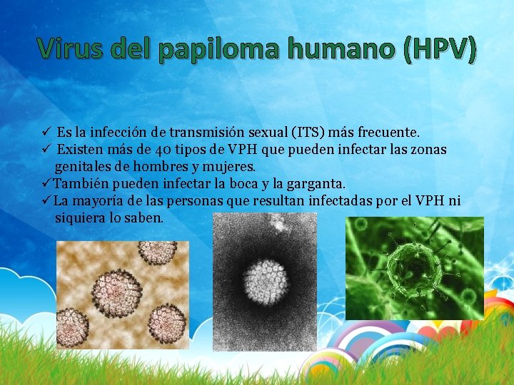 Virus del papiloma humano (HPV) ü Es la infección de transmisión sexual (ITS) más