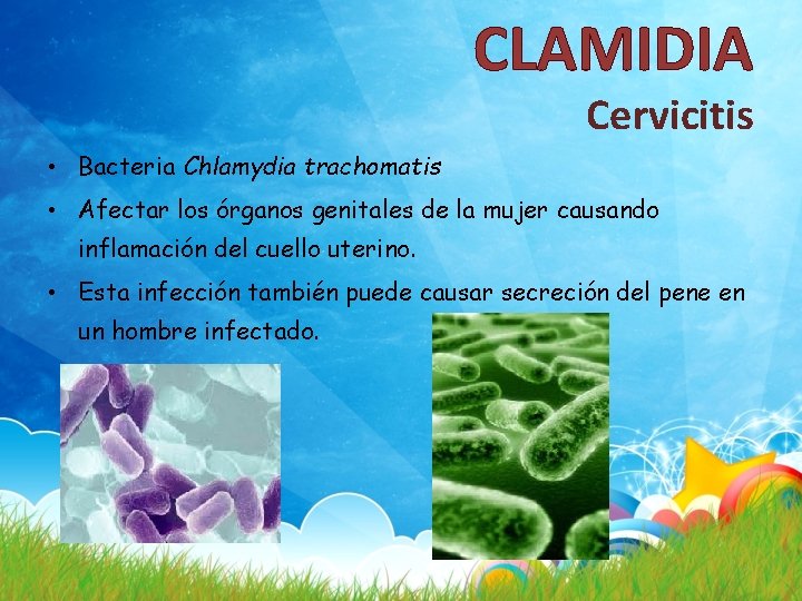 CLAMIDIA Cervicitis • Bacteria Chlamydia trachomatis • Afectar los órganos genitales de la mujer