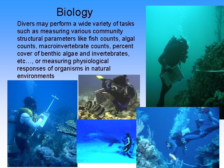 Dive Science Procedures For Scientific Diving Sources American Academy of