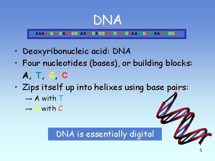 Bio Informatics AAACTGCTGACCGGTAACTGAGGCCTGCAATTGCTTAACTTGGC An ...