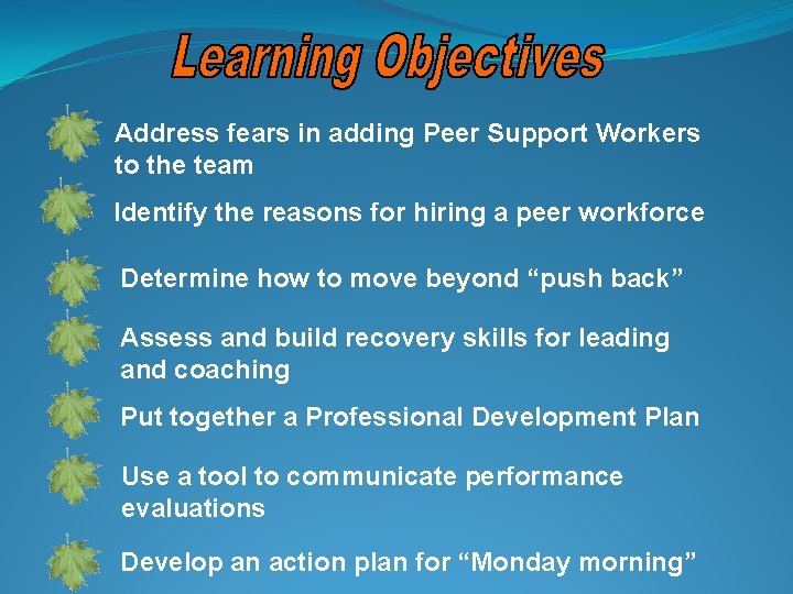 Address fears in adding Peer Support Workers to the team Identify the reasons for