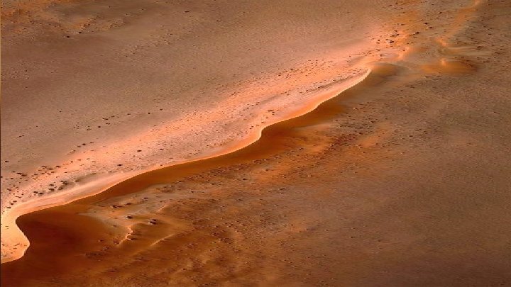  « Bonjour, dit le renard. - Bonjour, répondit le petit prince qui se