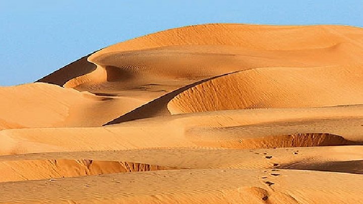  « Créer des liens? - Bien sûr, dit le renard. Tu n’es encore