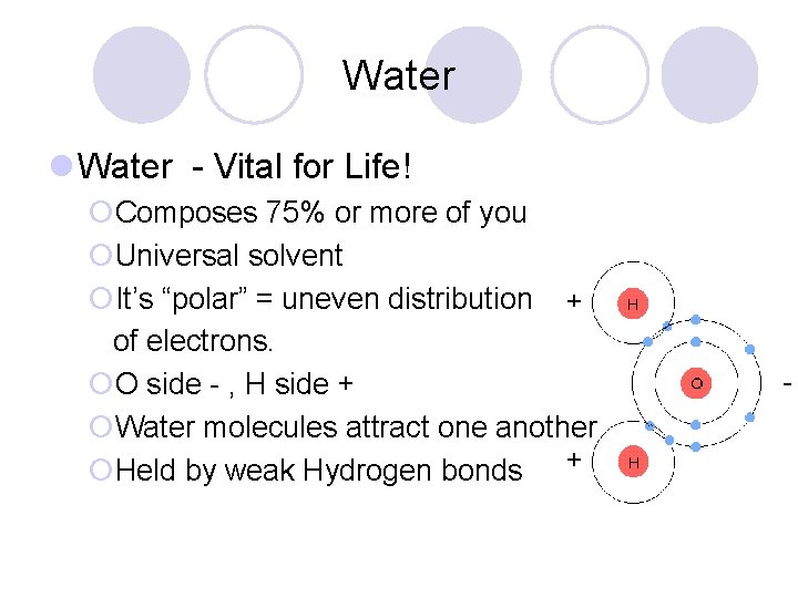 Water l Water - Vital for Life! ¡Composes 75% or more of you ¡Universal