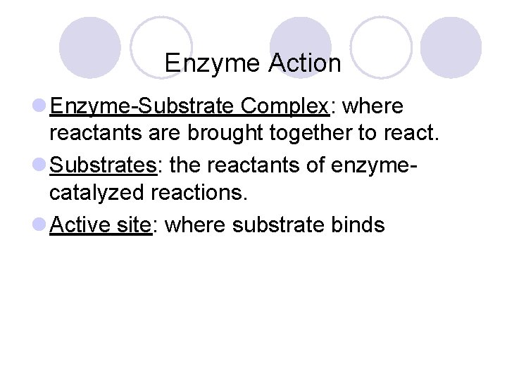 Enzyme Action l Enzyme-Substrate Complex: where reactants are brought together to react. l Substrates: