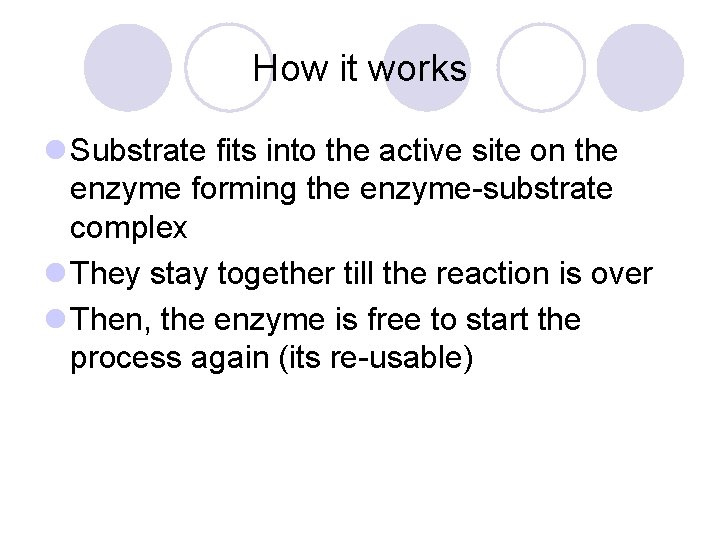 How it works l Substrate fits into the active site on the enzyme forming