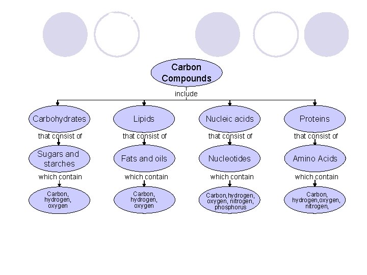Concept Map Carbon Compounds include Carbohydrates Lipids Nucleic acids Proteins that consist of Sugars