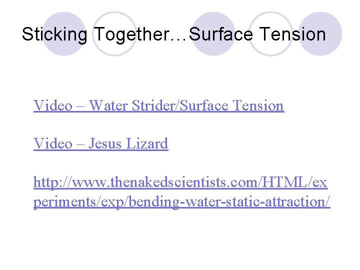 Sticking Together…Surface Tension Video – Water Strider/Surface Tension Video – Jesus Lizard http: //www.