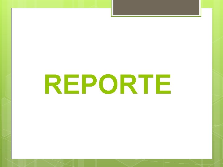 REPORTE 