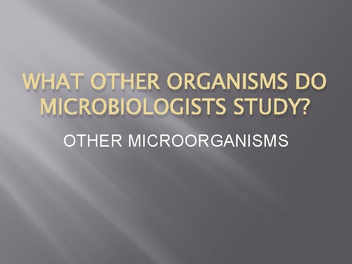 WHAT OTHER ORGANISMS DO MICROBIOLOGISTS STUDY? OTHER MICROORGANISMS 