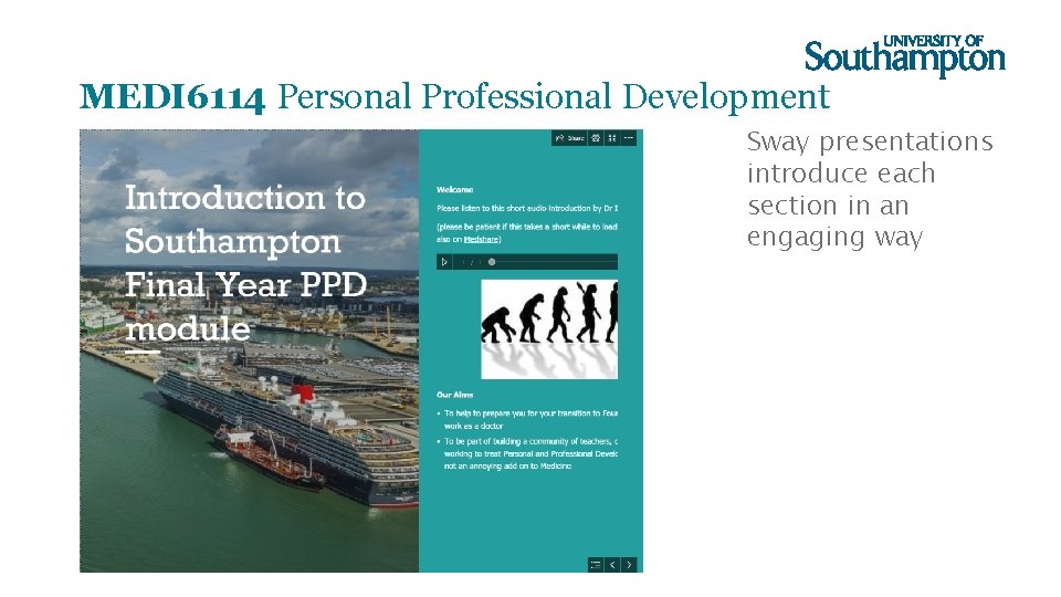 MEDI 6114 Personal Professional Development Sway presentations introduce each section in an engaging way