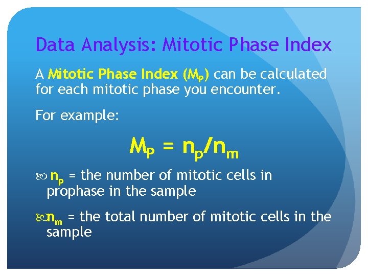 Data Analysis: Mitotic Phase Index A Mitotic Phase Index (MP) can be calculated for