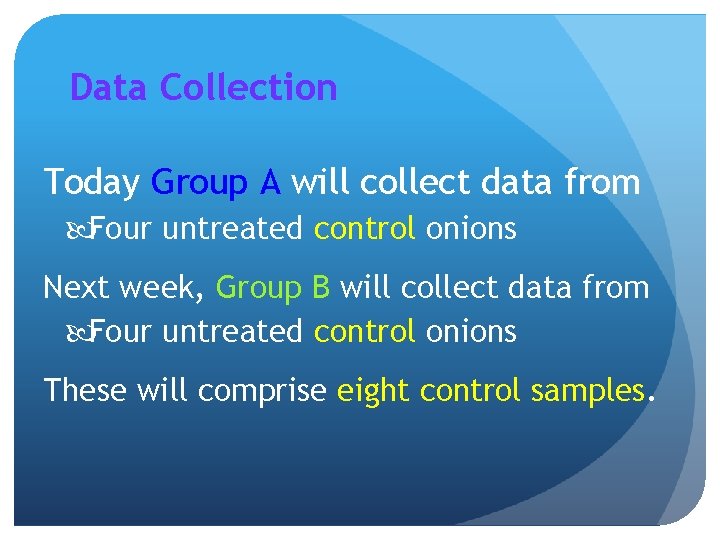 Data Collection Today Group A will collect data from Four untreated control onions Next