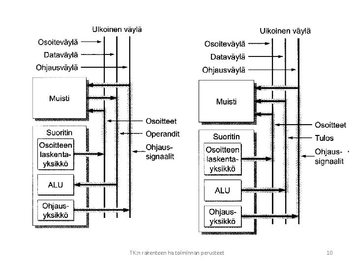 TK: n rakenteen ha toiminnan perusteet 10 