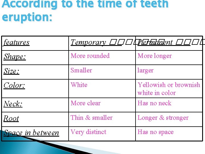 According to the time of teeth eruption: features Temporary ������� Permanent ���� Shape: More