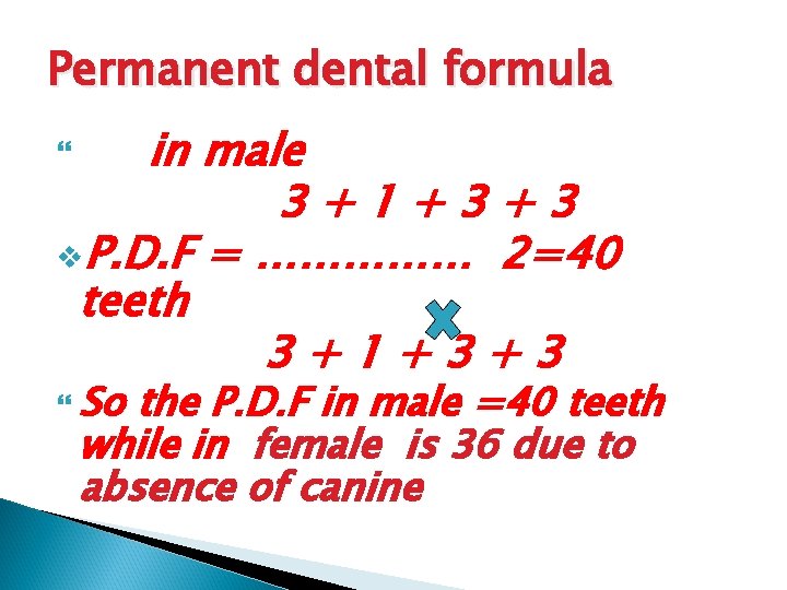 Permanent dental formula in male 3+1+3+3 v. P. D. F = …………… 2=40 teeth
