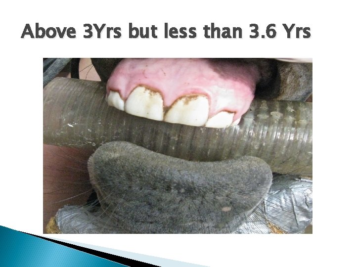 Above 3 Yrs but less than 3. 6 Yrs 