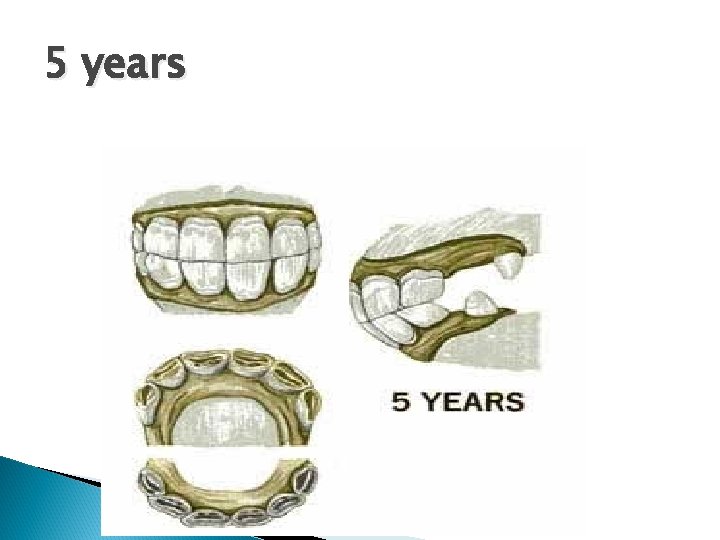 5 years 