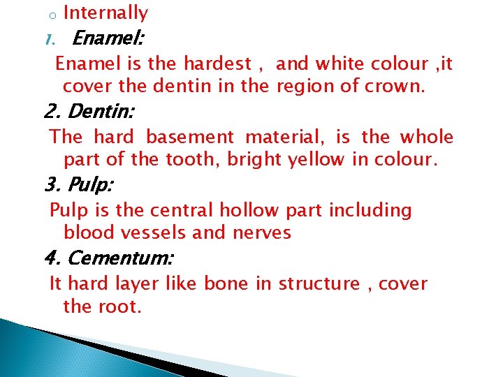 o 1. Internally Enamel: Enamel is the hardest , and white colour , it