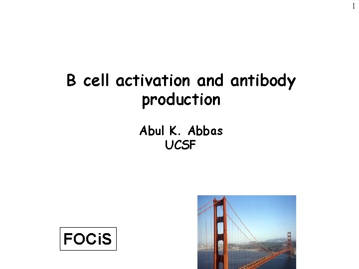 1 B cell activation and antibody production Abul K. Abbas UCSF FOCi. S 