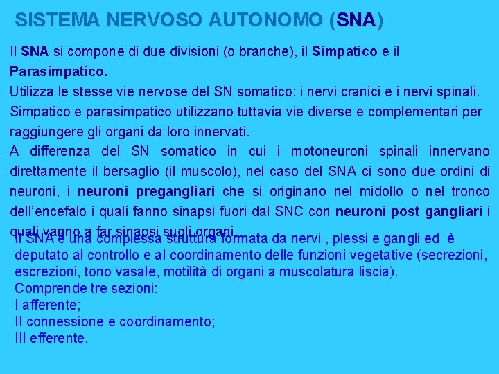 SISTEMA NERVOSO AUTONOMO (SNA) Il SNA si compone di due divisioni (o branche), il