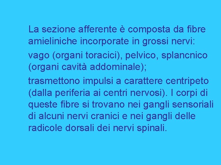 La sezione afferente è composta da fibre amieliniche incorporate in grossi nervi: vago (organi