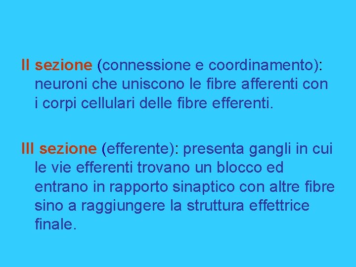 II sezione (connessione e coordinamento): neuroni che uniscono le fibre afferenti con i corpi