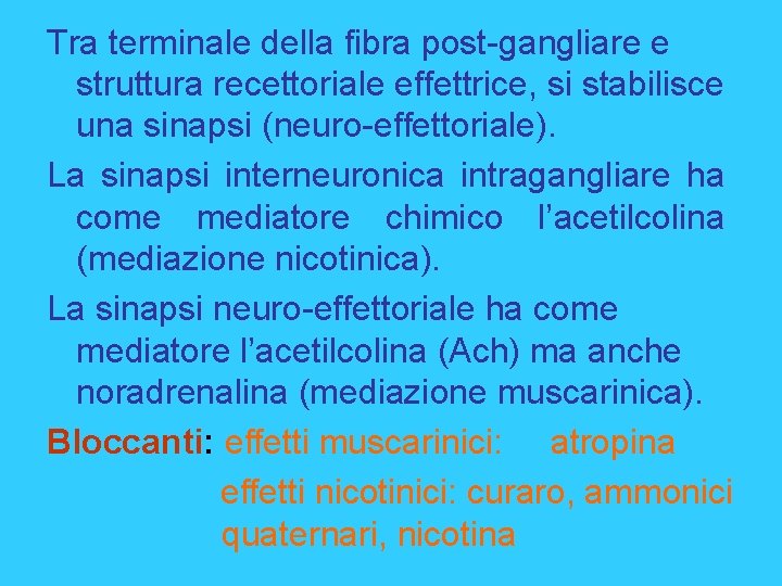 Tra terminale della fibra post-gangliare e struttura recettoriale effettrice, si stabilisce una sinapsi (neuro-effettoriale).