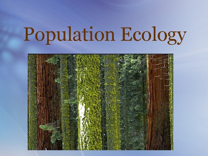 Population Ecology 