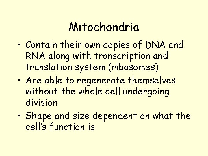 Mitochondria • Contain their own copies of DNA and RNA along with transcription and Mitochondria • Contain their own copies of DNA and RNA along with transcription and