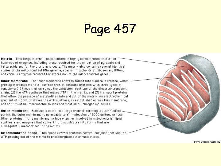 Page 457 Page 457