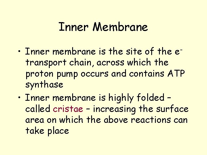 Inner Membrane • Inner membrane is the site of the etransport chain, across which Inner Membrane • Inner membrane is the site of the etransport chain, across which