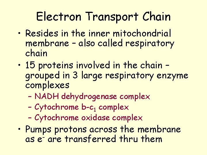 Electron Transport Chain • Resides in the inner mitochondrial membrane – also called respiratory Electron Transport Chain • Resides in the inner mitochondrial membrane – also called respiratory