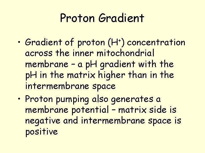 Proton Gradient • Gradient of proton (H+) concentration across the inner mitochondrial membrane – Proton Gradient • Gradient of proton (H+) concentration across the inner mitochondrial membrane –