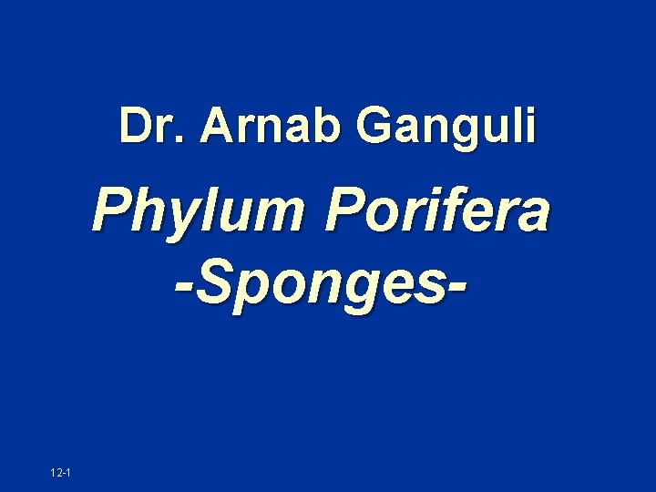 Dr. Arnab Ganguli Phylum Porifera -Sponges 12 -1 
