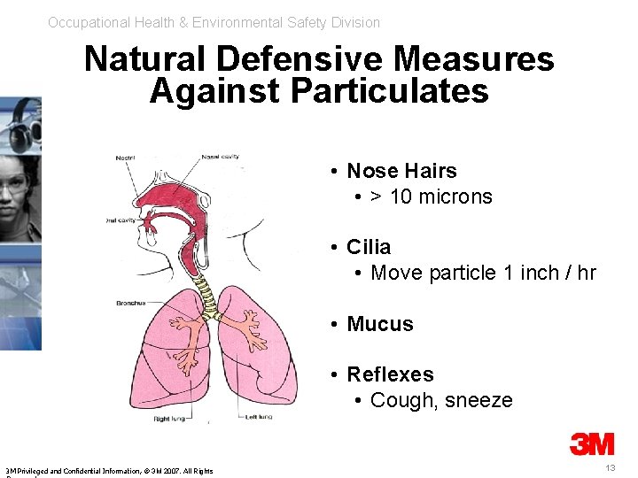 Occupational Health & Environmental Safety Division Natural Defensive Measures Against Particulates • Nose Hairs