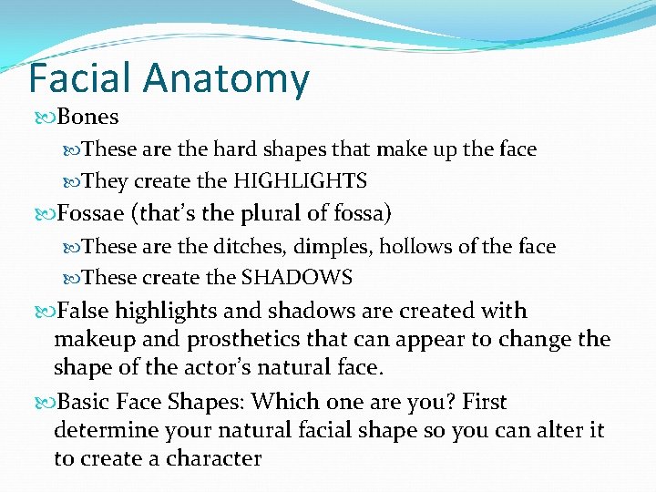 Facial Anatomy Bones These are the hard shapes that make up the face They