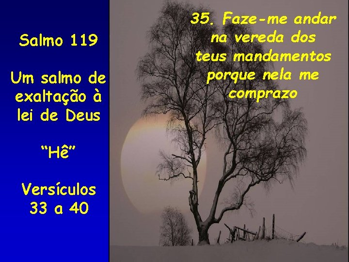 Salmo 119 Um salmo de exaltação à lei de Deus “Hê” Versículos 33 a Salmo 119 Um salmo de exaltação à lei de Deus “Hê” Versículos 33 a