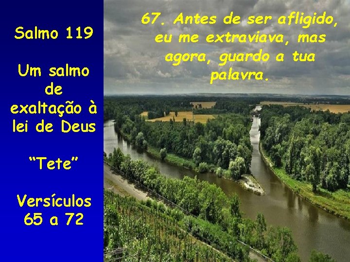 Salmo 119 Um salmo de exaltação à lei de Deus “Tete” Versículos 65 a