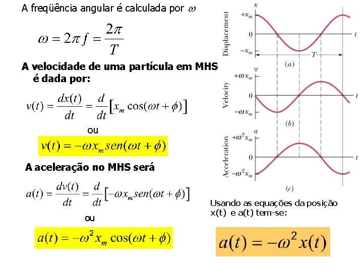 A freqüência angular é calculada por w A velocidade de uma partícula em MHS
