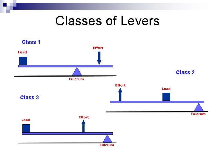 Classes of Levers Class 1 Class 2 Class 3 