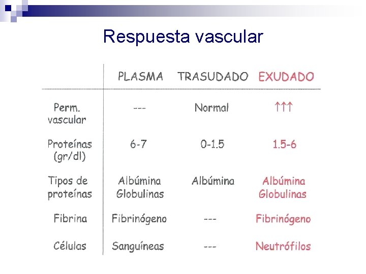 Respuesta vascular 