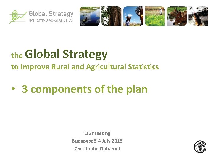 the Global Strategy to Improve Rural and Agricultural Statistics • 3 components of the